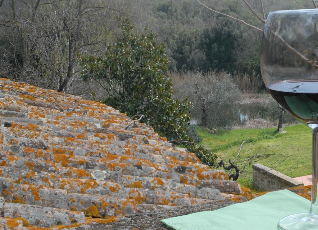 Вілла Pieve Di Caminino Historic Farm Podere Caminino Номер фото